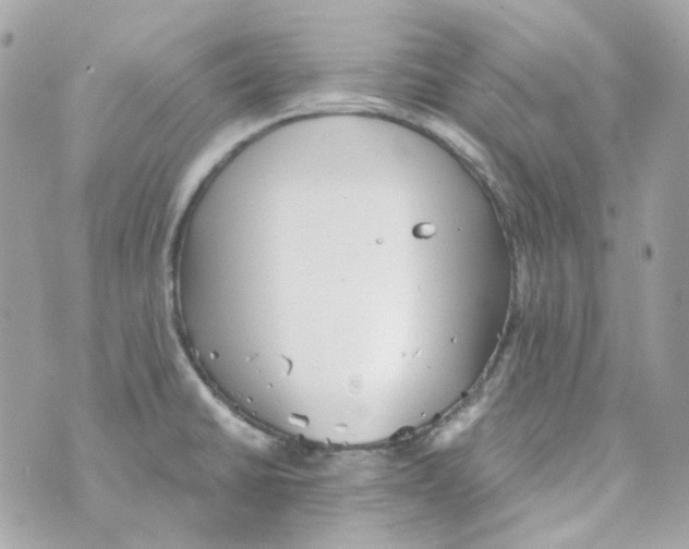 X0000069831430200606161929