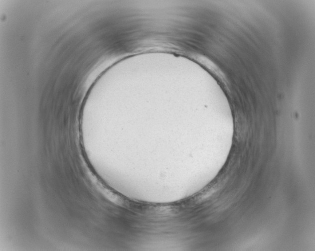 X0000069831431200606161929