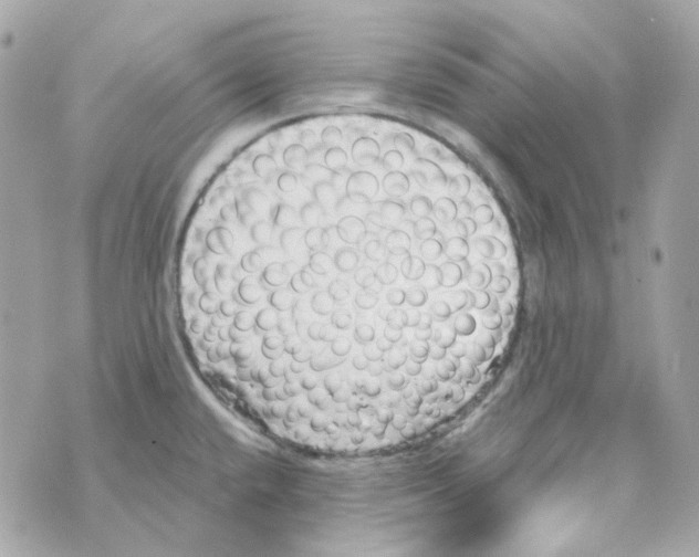 X0000069831432200606161929