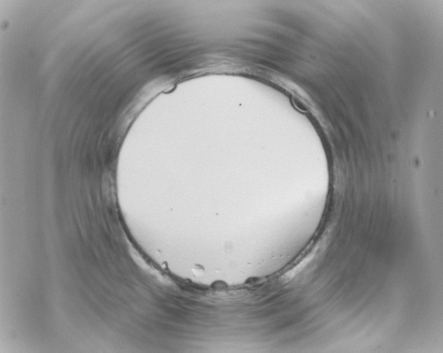 X0000069831433200606161929