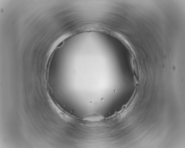 X0000069831434200606161929