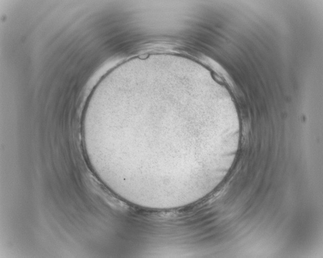 X0000069831435200606161929