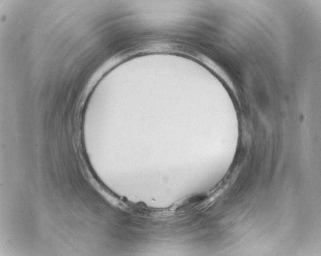 X0000069831437200606161929