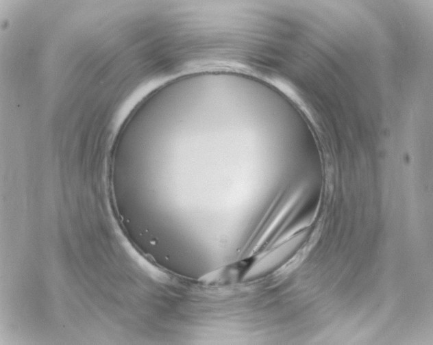 X0000069831438200606161929