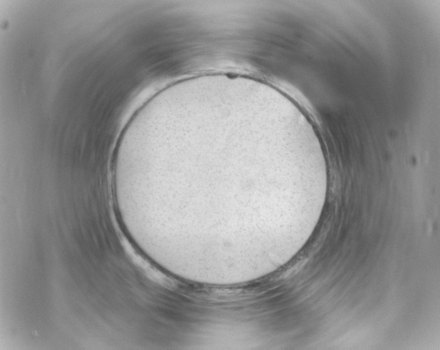 X0000069831439200606161929