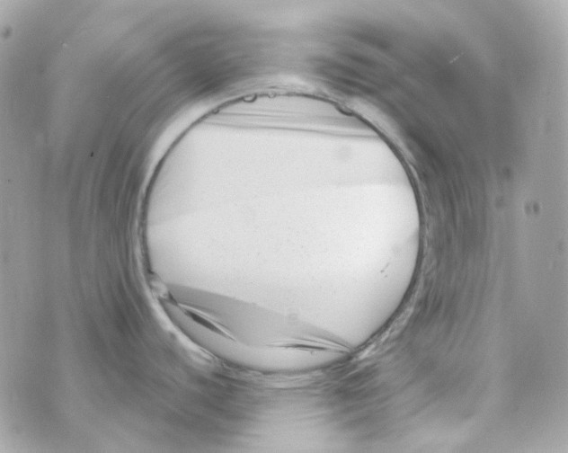 X0000069831440200606161929