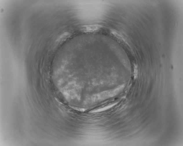 X0000069831441200606161928