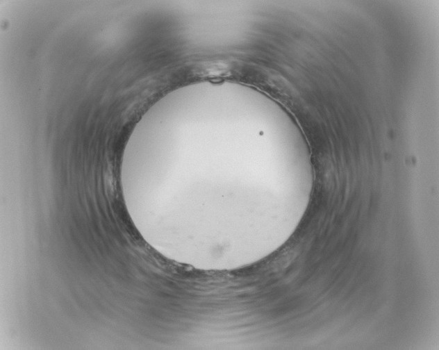 X0000069831442200606161928