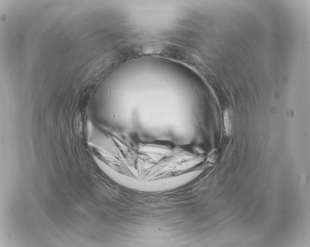 X0000069831443200606161928