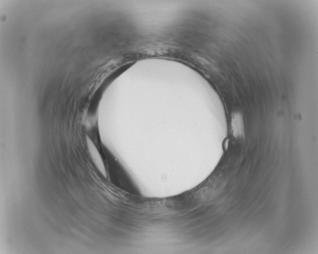 X0000069831444200606161928