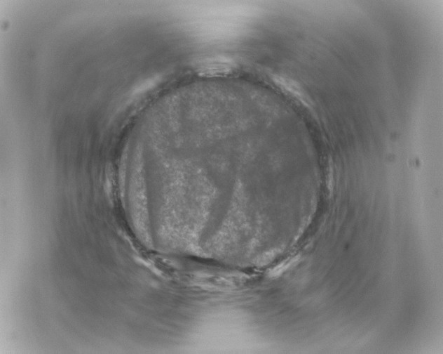 X0000069831445200606161928