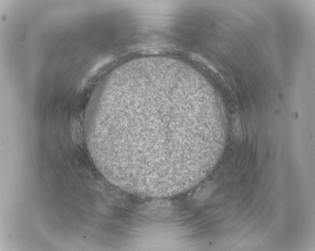 X0000069831446200606161928