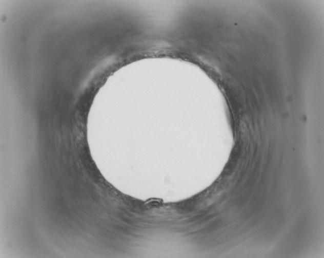 X0000069831447200606161928