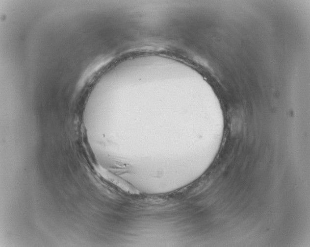 X0000069831448200606161928