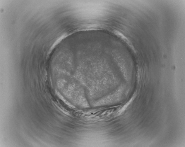 X0000069831449200606161928