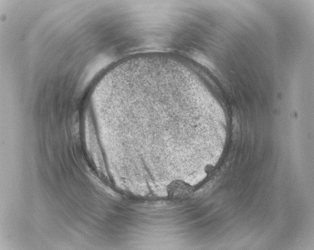 X0000069831450200606161928