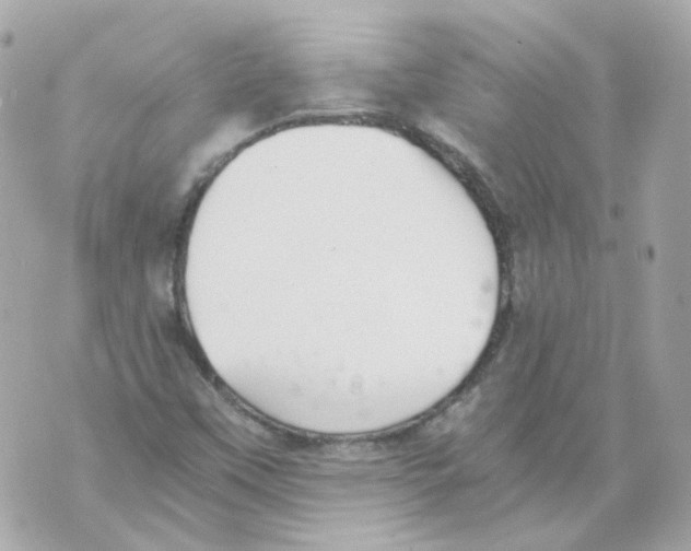 X0000069831451200606161928