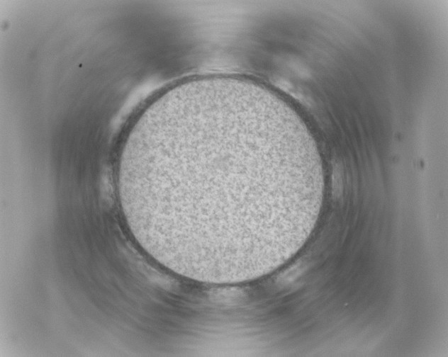 X0000069831454200606161928