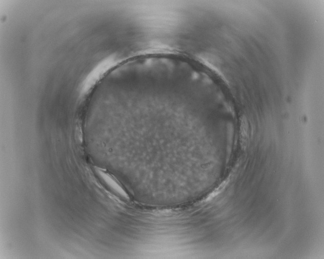 X0000069831455200606161928