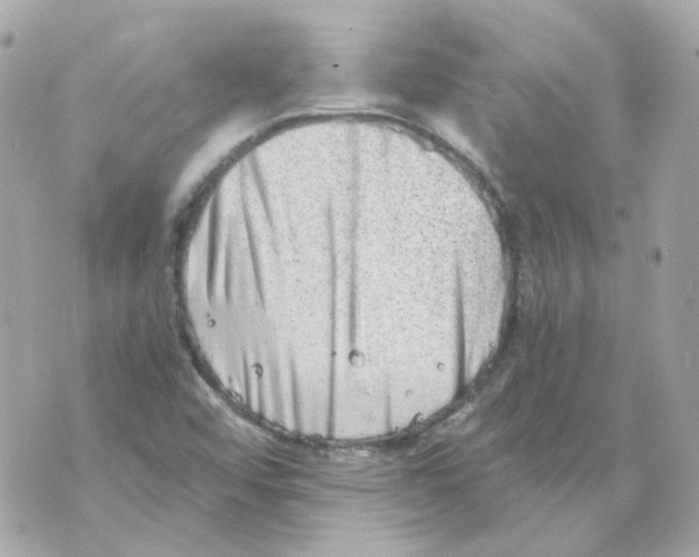 X0000069831456200606161928