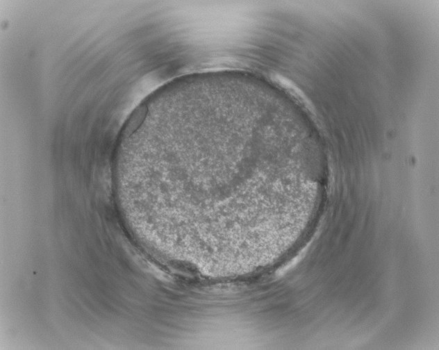 X0000069831457200606161928