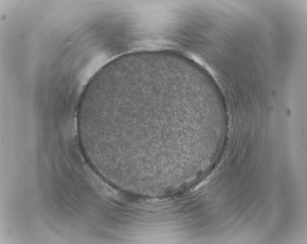 X0000069831459200606161928