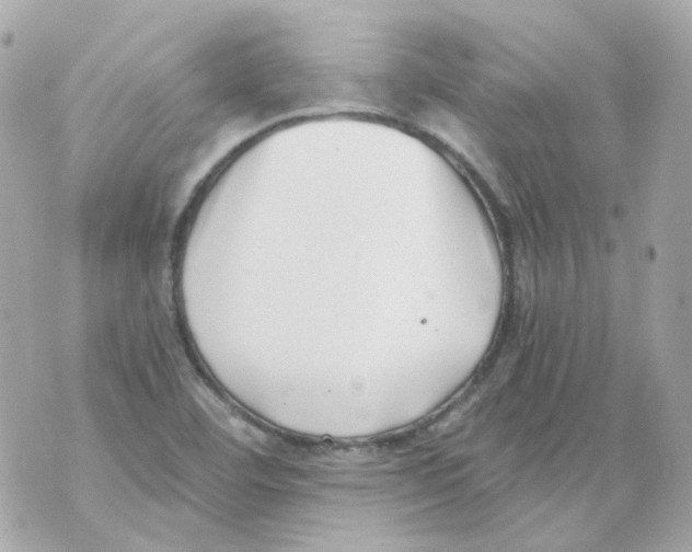 X0000069831460200606161928