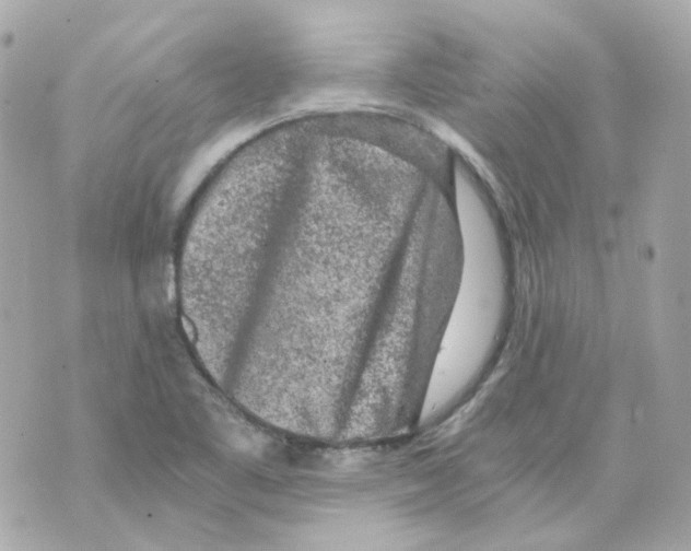 X0000069831461200606161928