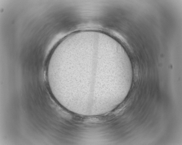 X0000069831462200606161928