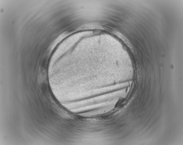 X0000069831465200606161928