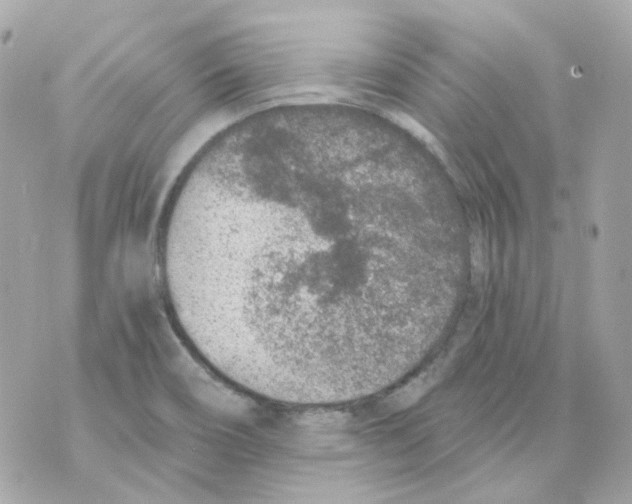 X0000069831466200606161928