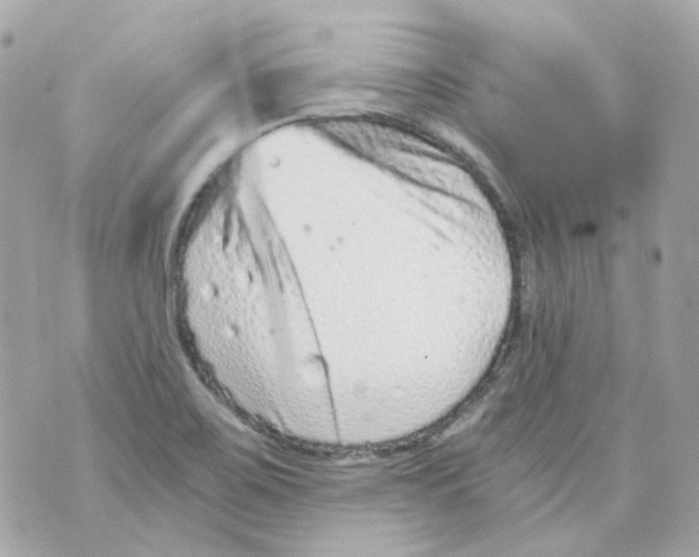 X0000069831467200606161928