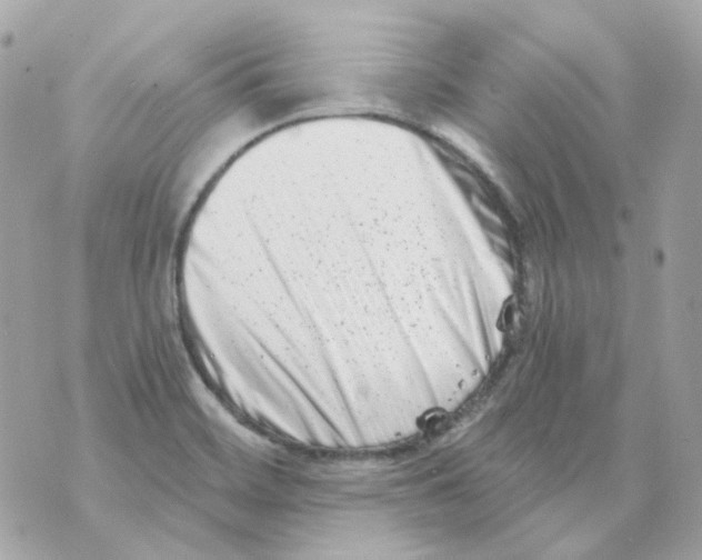 X0000069831468200606161928