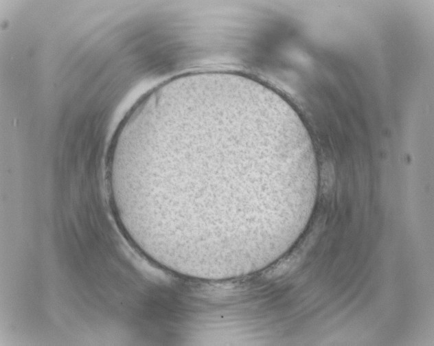 X0000069831470200606161928