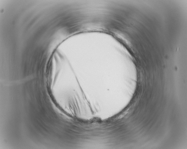 X0000069831471200606161928