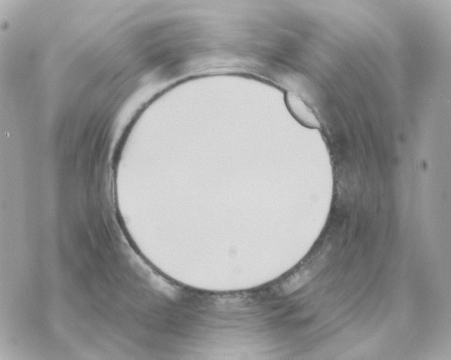 X0000069831472200606161928