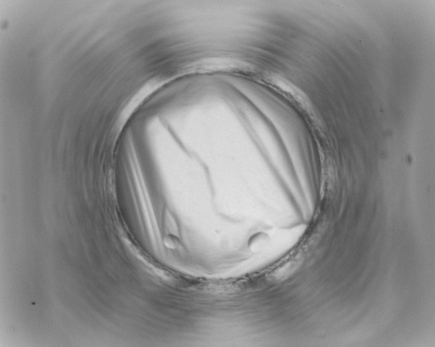 X0000069831473200606161928