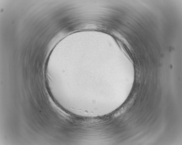 X0000069831475200606161928