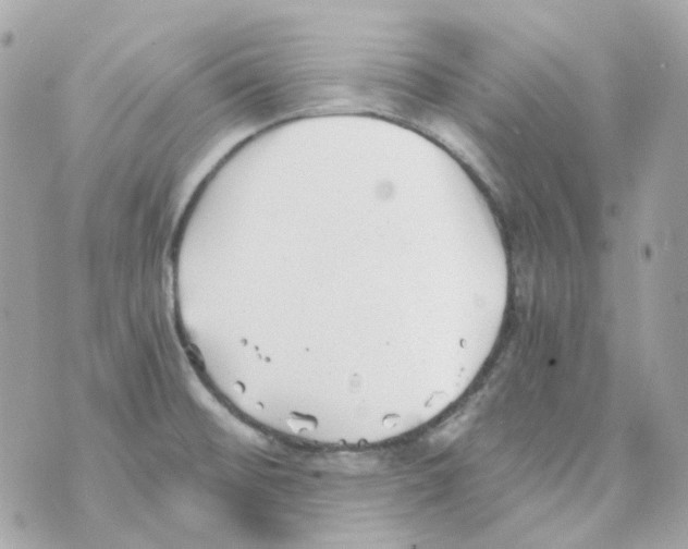 X0000069831476200606161928