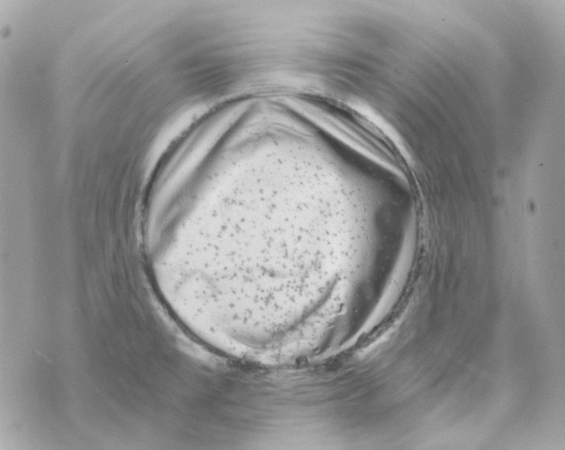 X0000069831477200606161928