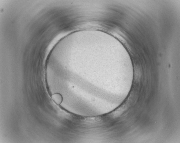 X0000069831478200606161928