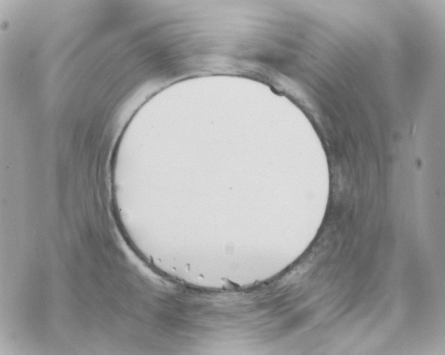 X0000069831479200606161928