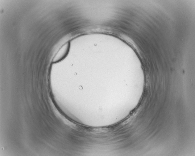 X0000069831483200606161928