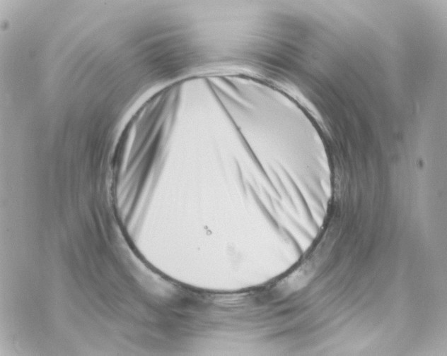 X0000069831484200606161928