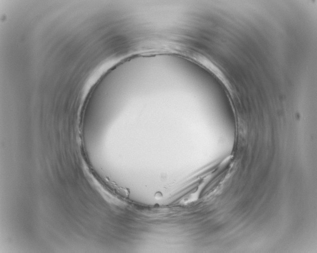 X0000069831485200606161928