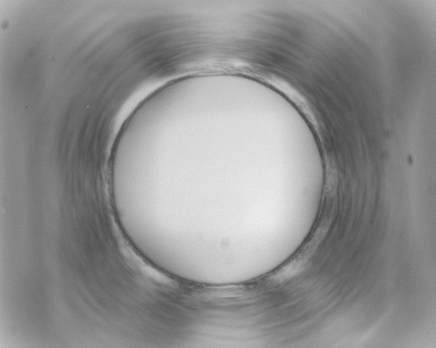 X0000069831486200606161928