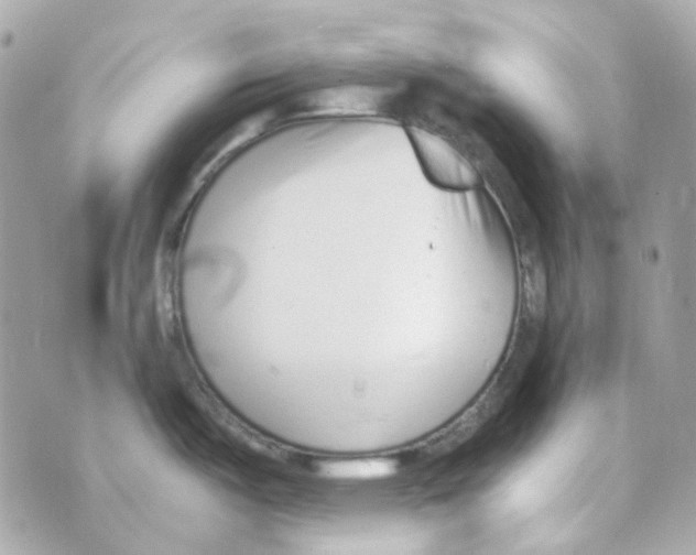 X0000069831487200606161928