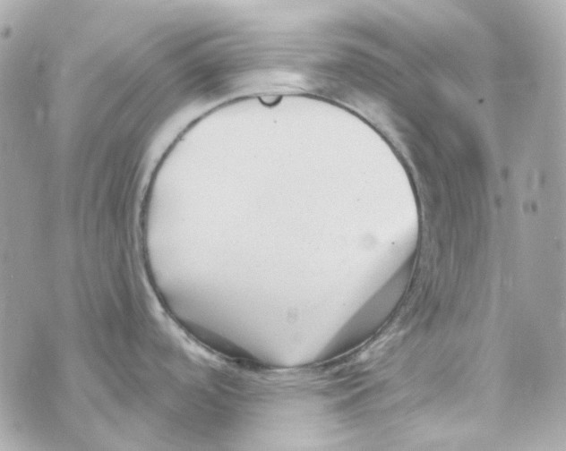 X0000069831488200606161927