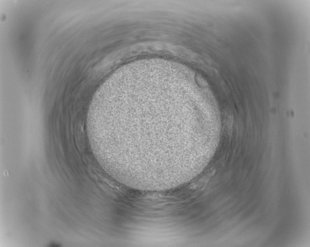 X0000069831489200606161927