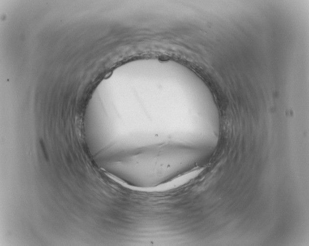 X0000069831490200606161927